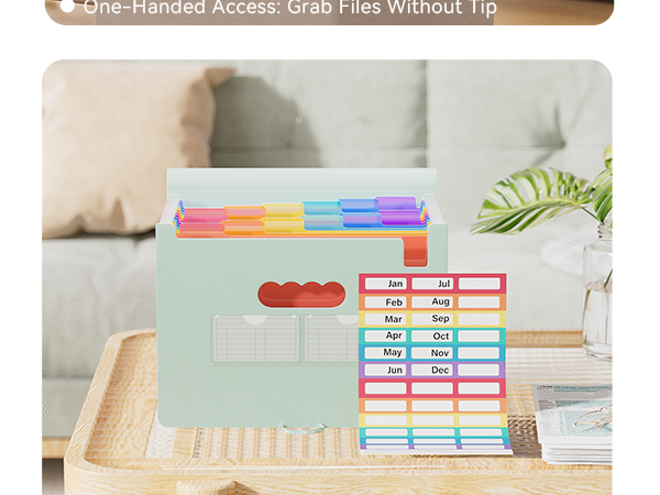 ThinkTex Accordion File Organizer, 12 - Pocket Expanding File Folders