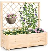 Giantex Raised Garden Bed with Trellis, Drainage Hole, Wood Elevated Planter Box for Climbing Vin...