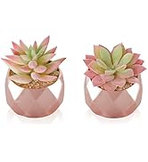 Artificial Plants Desk Fake Succulents Indoor Decor Office Room Decoration Small Tiny Realistic P...