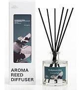 BITSOTA Reed Diffuser Set, Eucalyptus & Citrus 3.52 oz (100ml) Scented Diffuser with Sticks Home ...