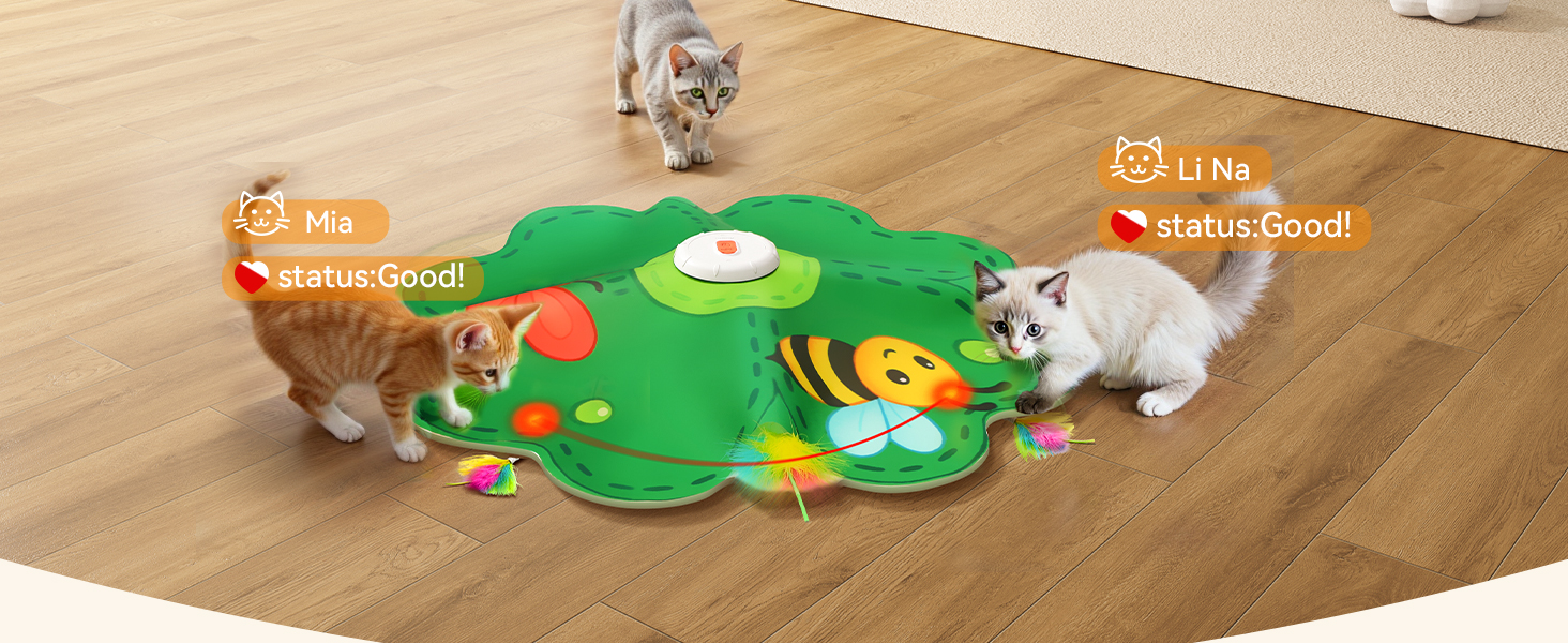 cat toys