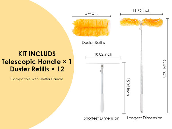 duster with extension pole