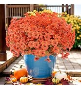 LetuoClips 13 Bundles Artificial Flowers for Outdoor,Orange | Silk Flowers Fake Plastic Flowers U...