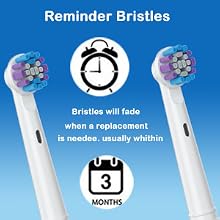 4Pack Replacement Toothbrush Heads for Oral-B