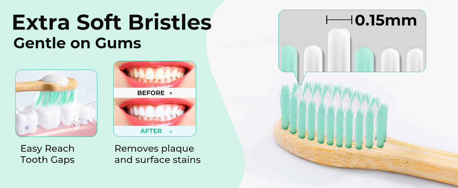 travel toothbrush kit