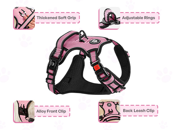 dog harness
