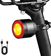 Cruxer 180 & 300 High Lumen Bike Tail Light, Ultra Bright Compact Bicycle Rear Light for Night Ri...