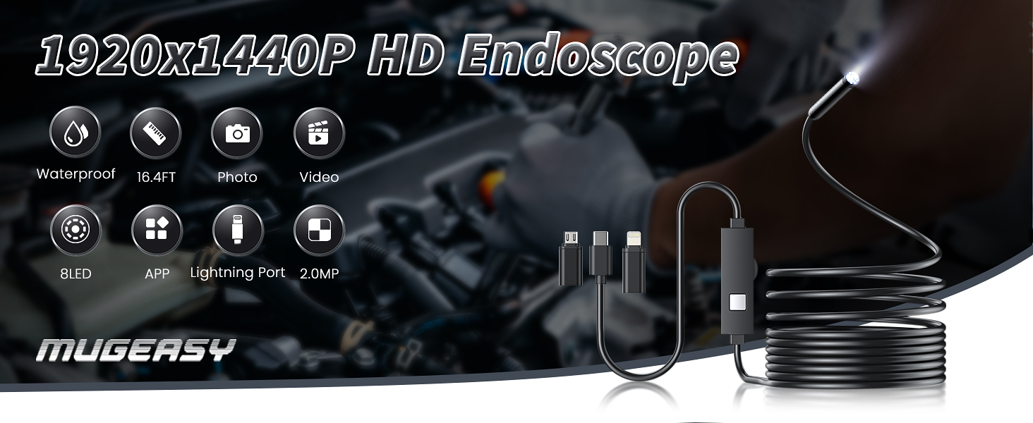 endoscope