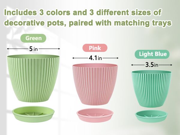 5inch pot