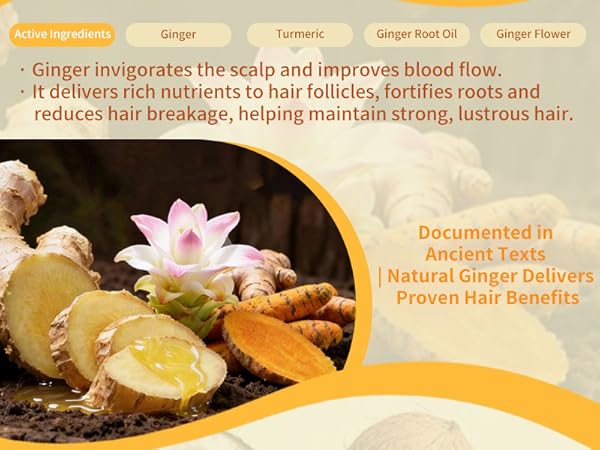 hair growth shampoo bar ginger native shampoo herbal essences shampoo travel shampoo for oily hair