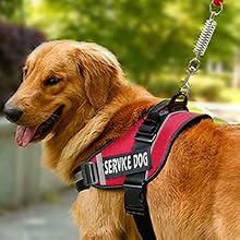 JSXD Dog Harness