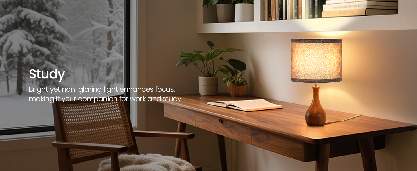 LH09TL05 Table Lamp