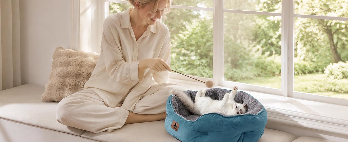 pet bed
