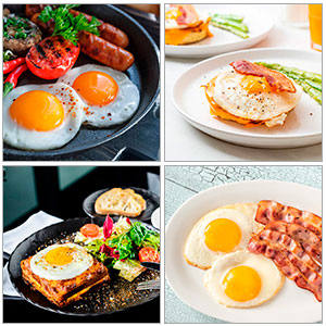 8 Pack Egg Ring