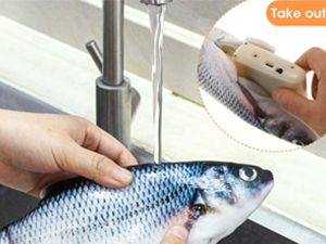 fish cat toy that moves