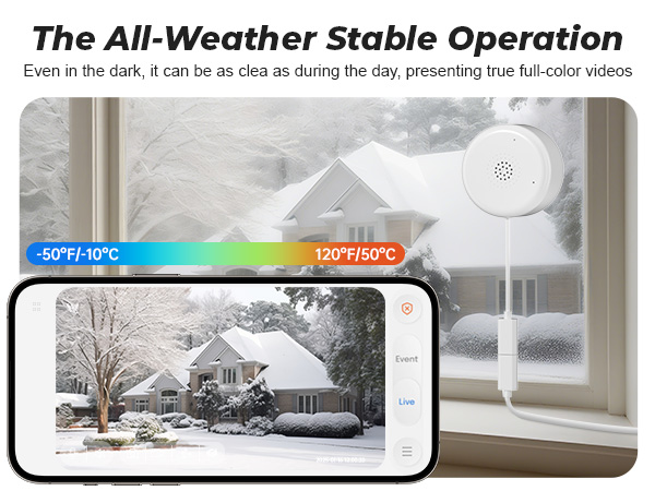 window security camera