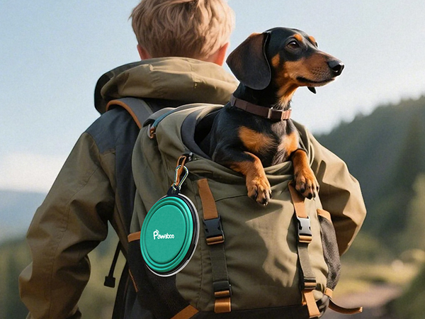 collapsible dog bowls