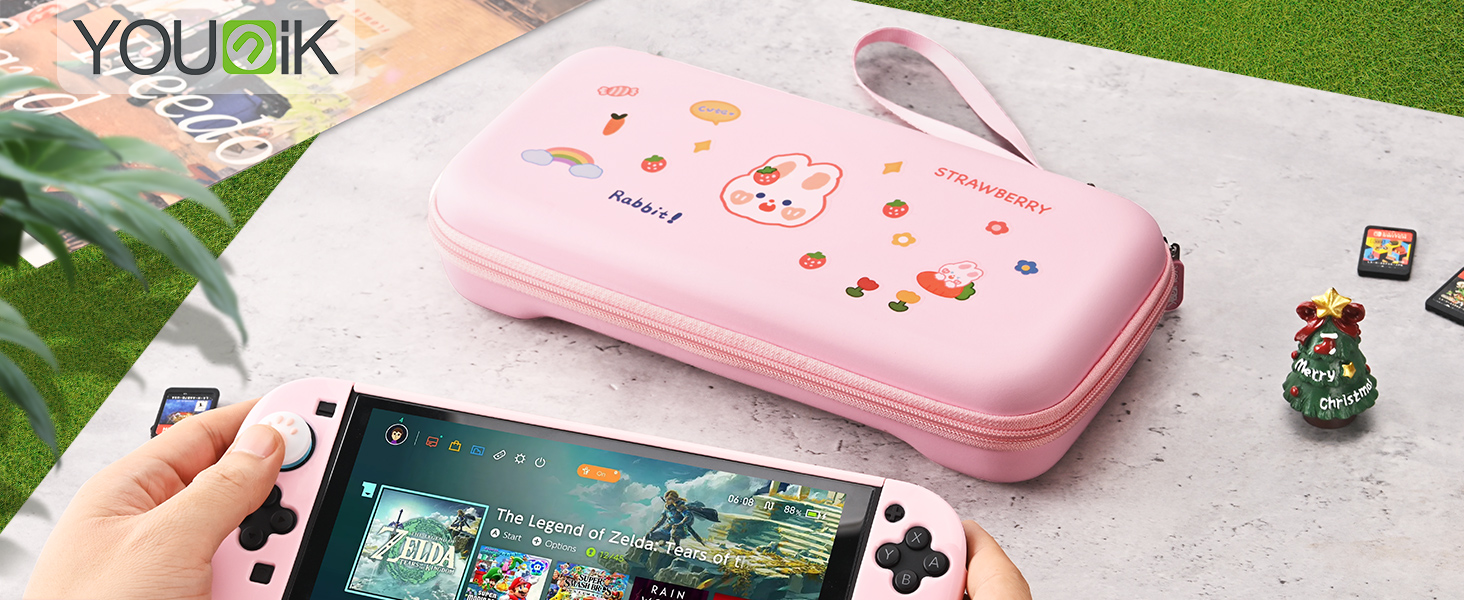 Nintendo switch 2 case