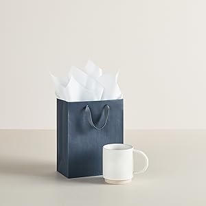 Hallmark Medium Gift Bag