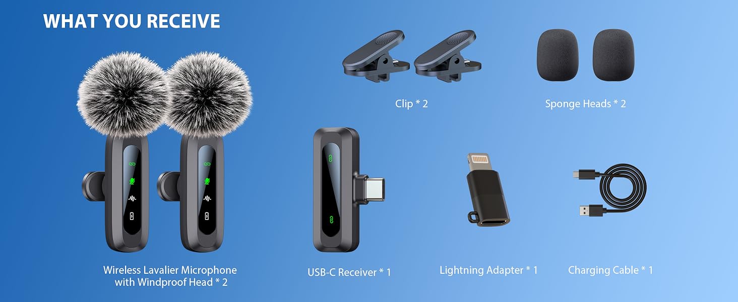 mini microphone