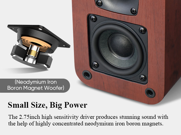 Powered Bookshelf Speakers
