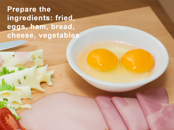sandwich maker-258