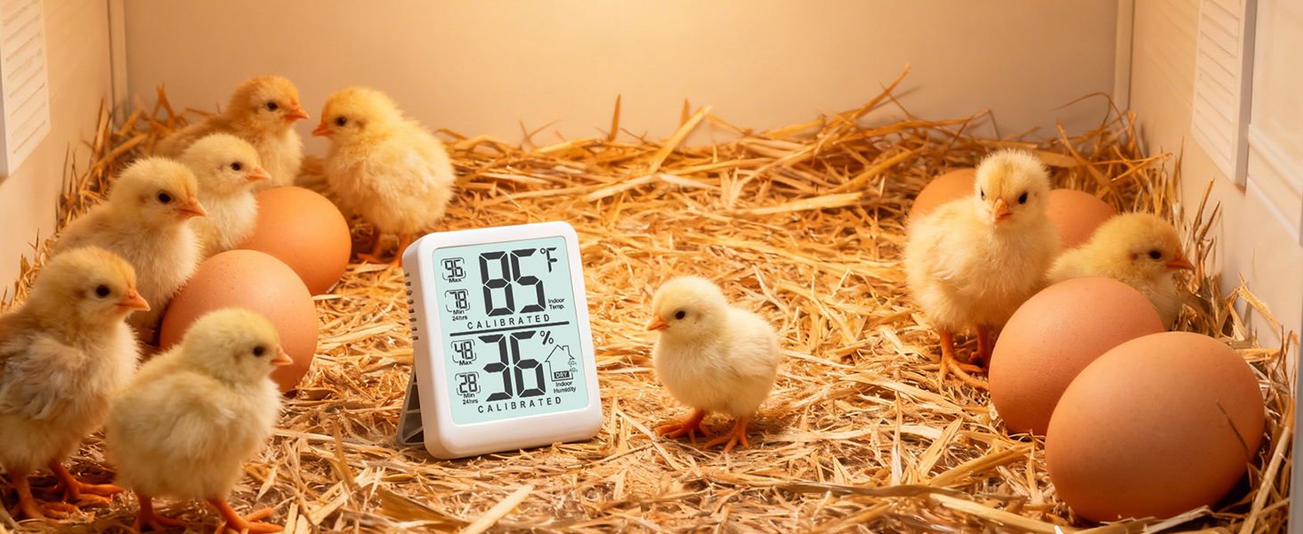 indoor thermometer for room temperature analog
