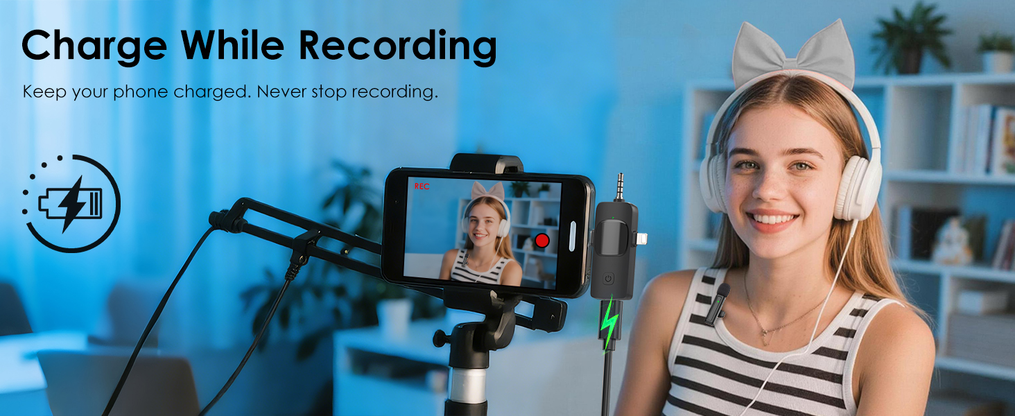 mini mic
