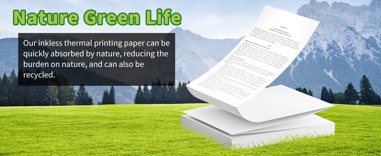 Thermal Receipt Paper