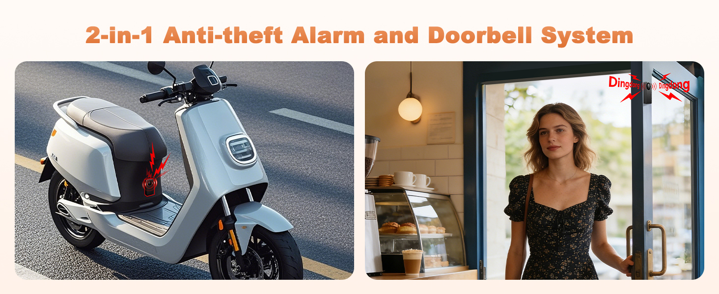 car alarm2