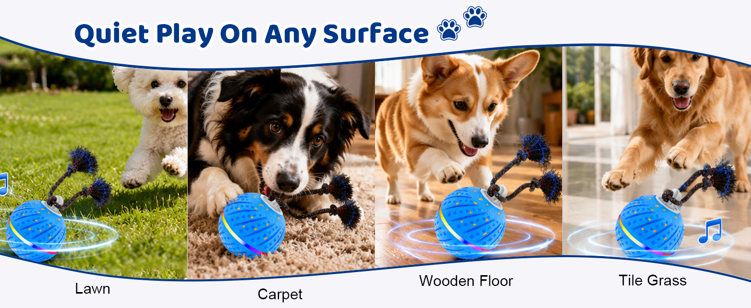smart rolling dog ball