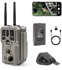 https://m.media-amazon.com/images/I/51IYk2%2B-B3L.__AC_SR200,225___.jpg