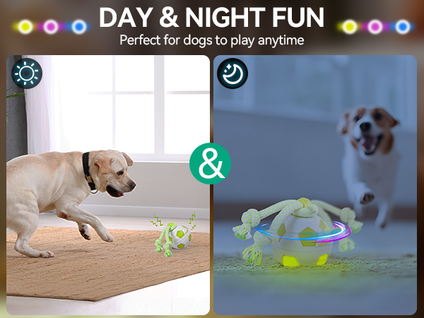 3227 dog ball