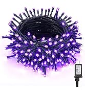 BrizLabs Purple Halloween Lights, 78.74ft 240 LED Purple String Lights with Timer, Plug in Hallow...