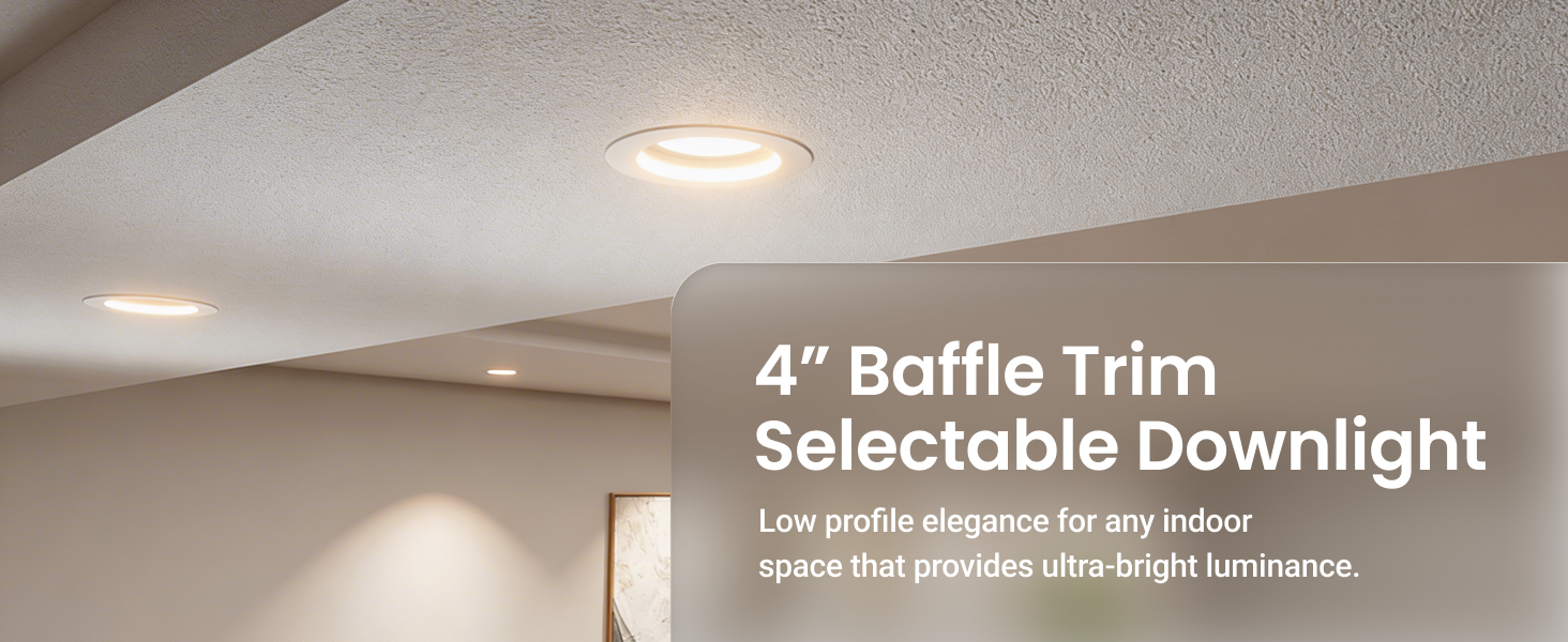 EBC 2 - 4 Selectable Baffle Retrofit Desktop.jpg