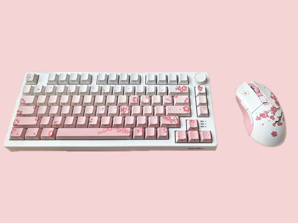 pink keyboard and mouse combe