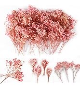 65Pcs Mini Pink Dried Baby's Breath Flowers, 4000+ Natural Natural Dry Gypsophila Flowers Bulk fo...
