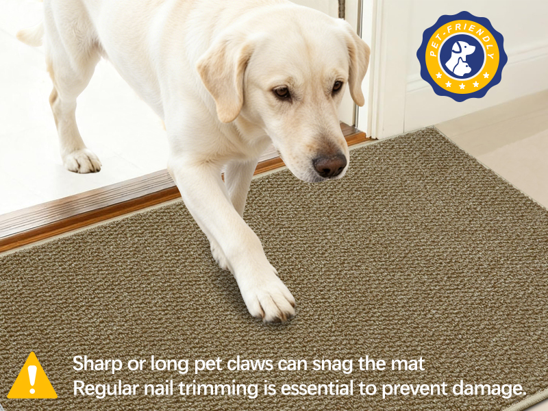 muddy mat for indoor
