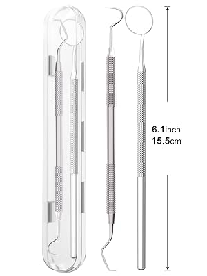 dental hygiene kit