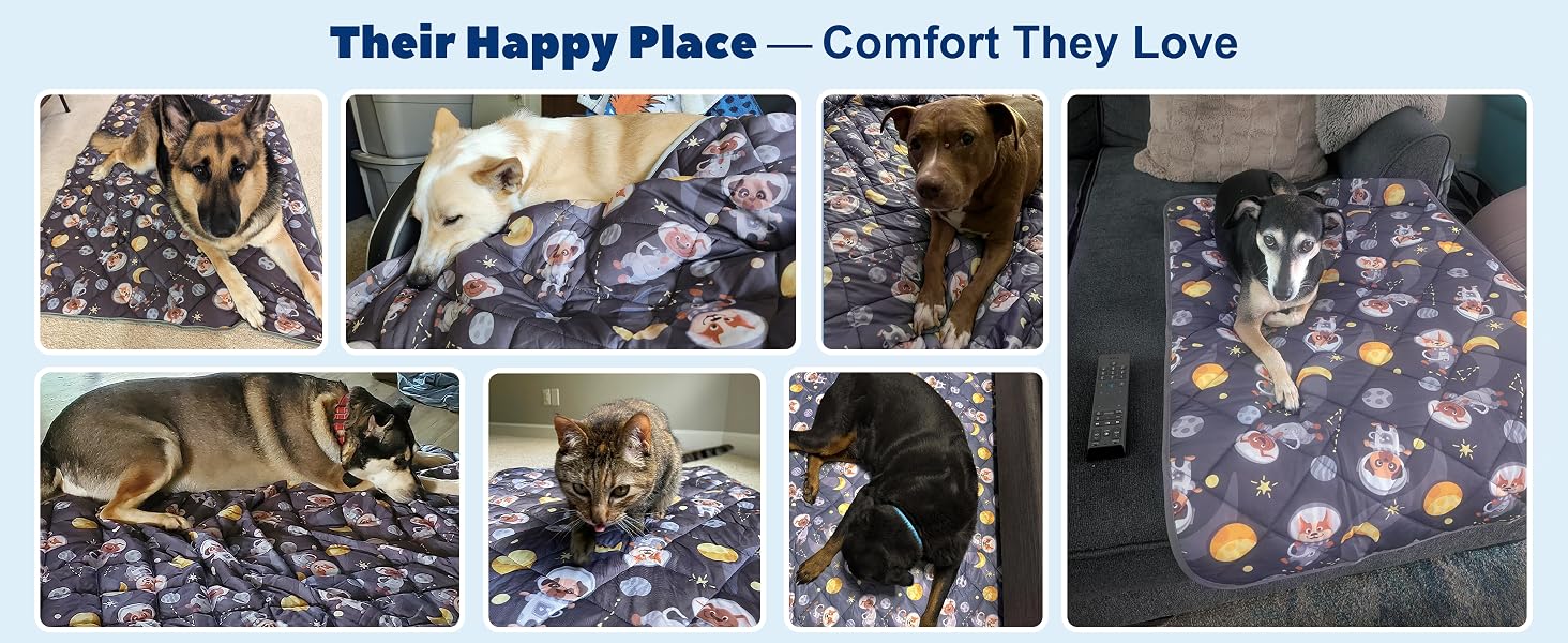 dog cooling pads or mats cool pad for dogs cooling mat dogs ice silk cooling mat for dogs