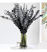 15pcs Real Black Eucalyptus Stems - Black Flowers and 17 Inch Preserved Natural Eucalyptus Leaves...