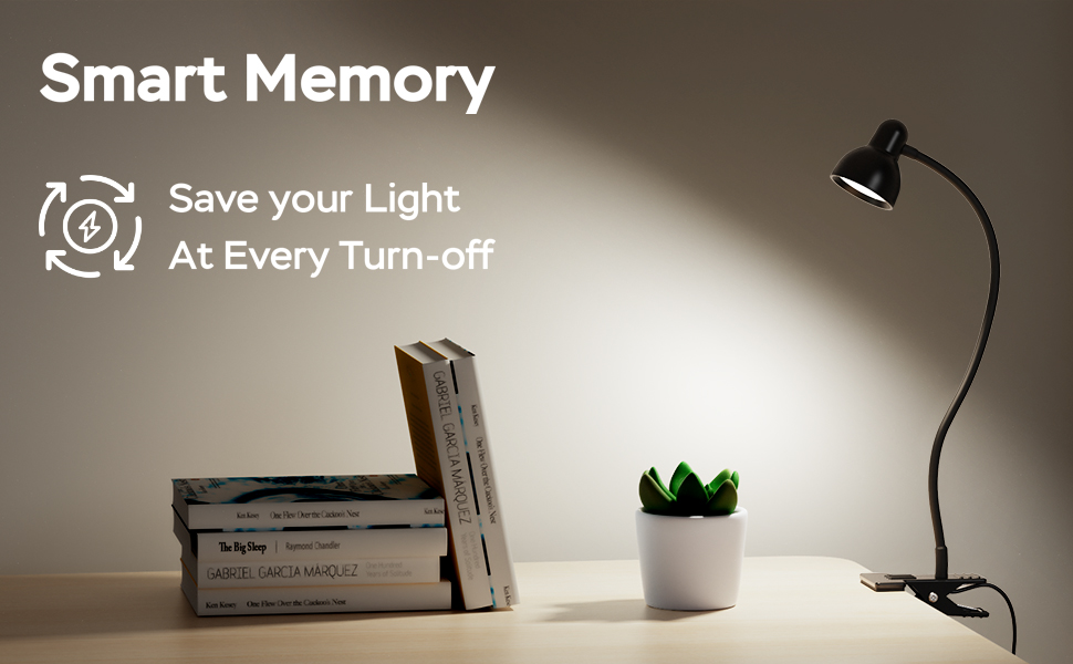 LED Desk Lamp Clip On Reading Light Book Light for Reading in Bed