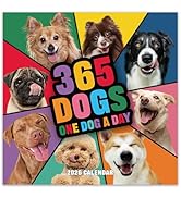 2026 Calendar - 2026 Dogs Calendar, 365 Dogs