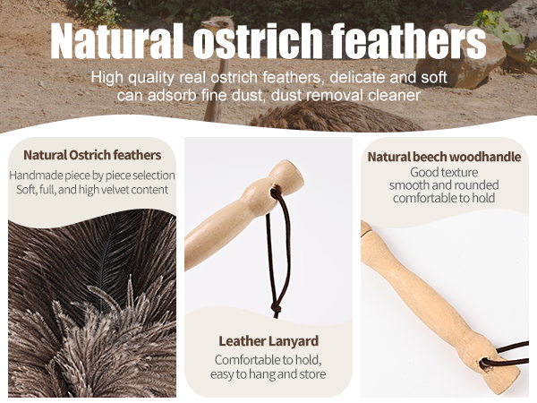 reusable duster