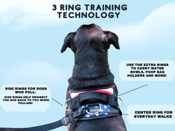 training