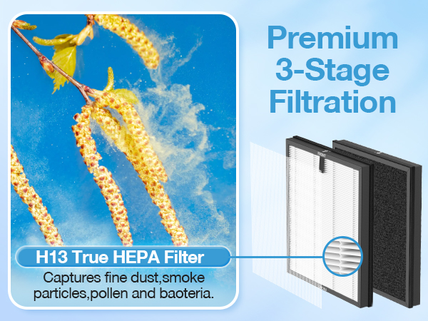 Air Purifier Replacement Filter for ECOSELF HAP603 Air Purifier