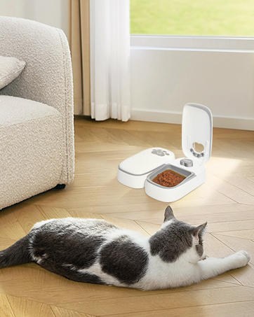 Automatic Cat Feeder