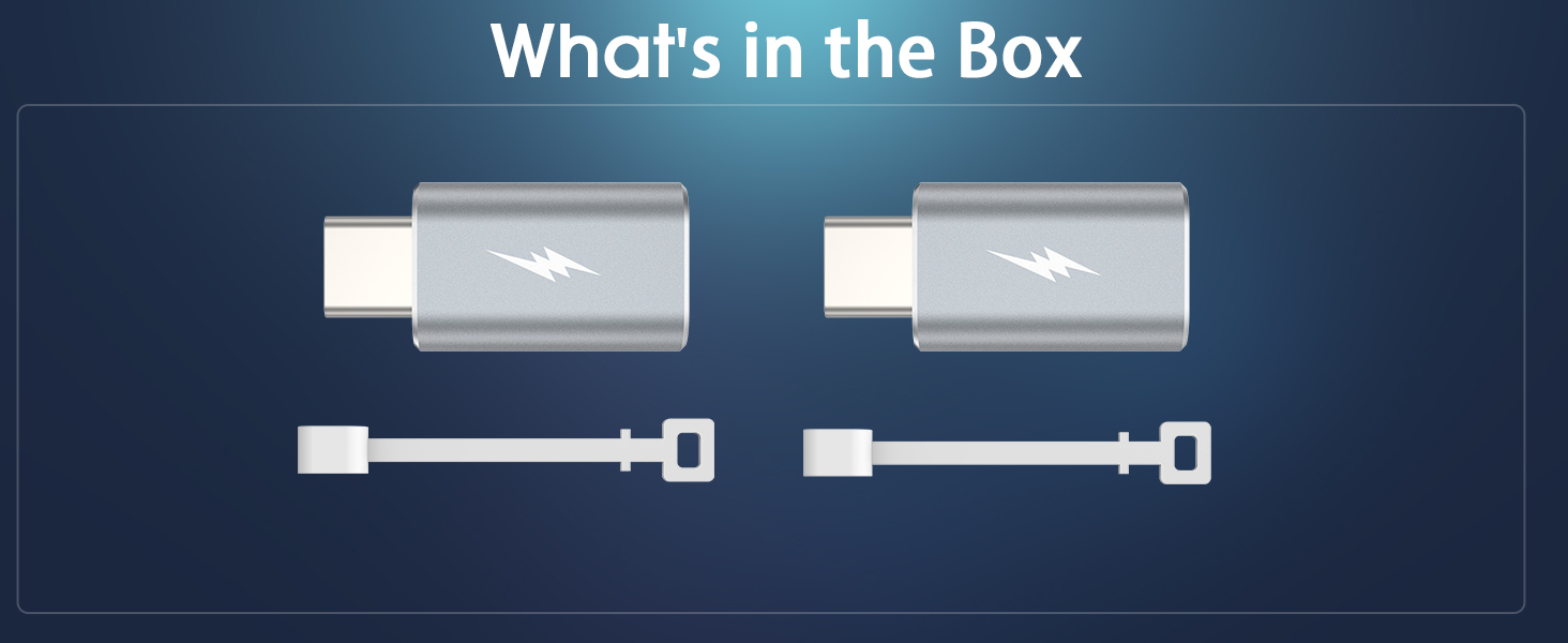 Lightning to USB-C Adapter