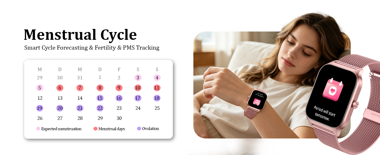 Menstrual Cycle