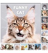 2026 Wall Calendar - Funny Cat Calendar 2026, 12" x 24" (Open), Jan. 2026 - Dec. 2026, Cat Calend...